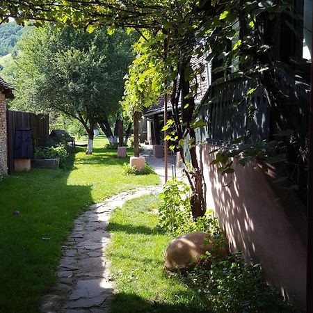 Valchid Guest House Luaran gambar