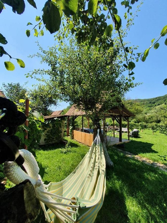 Valchid Guest House Luaran gambar