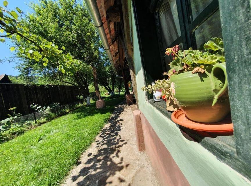 Valchid Guest House Luaran gambar