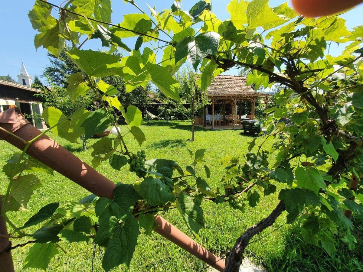 Valchid Guest House Luaran gambar